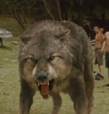 2009__11__twi10reasons 216×225.jpg