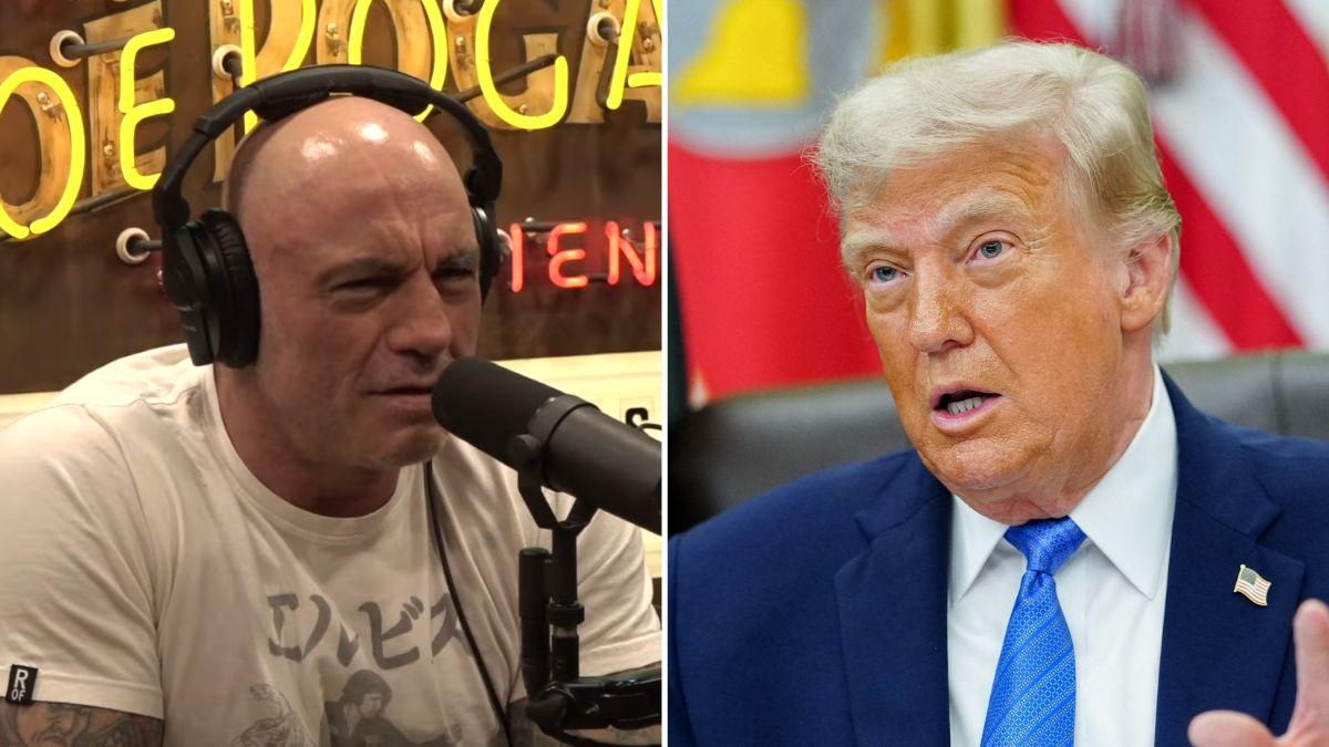 Photo of Joe Rogan and Donald Trump.