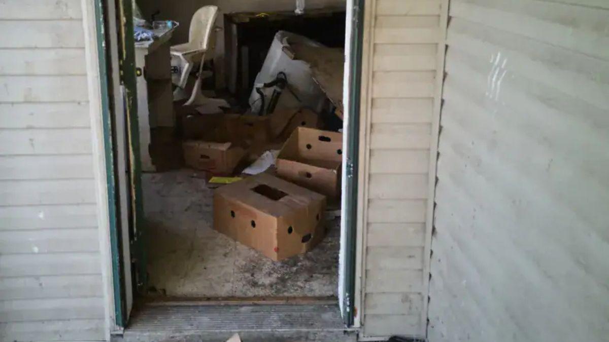 image of Elizabeth's attorney has argued that the children's living situation was mischaracterized.