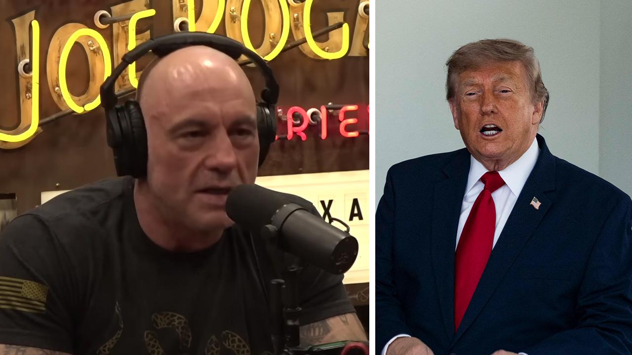 Joe Rogan and Donald Trump