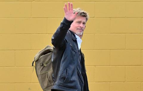 brad pitt girlfriend ines de ramon breath of fresh air jpg