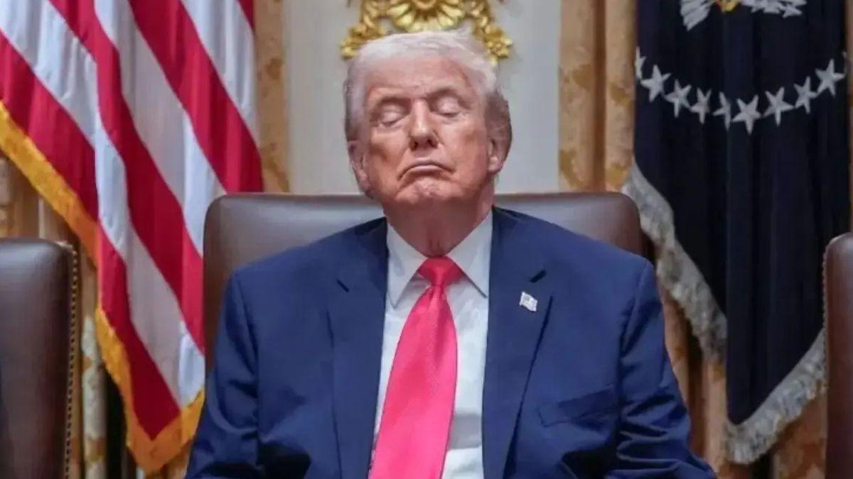 image of Donald trump 