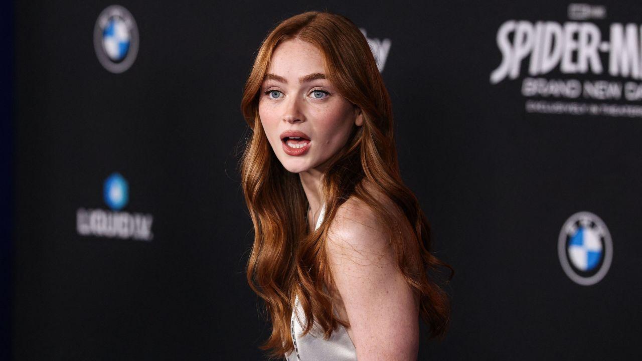 Image of Sadie Sink opened up about the upcoming 'X-Men' reboot, revealing she had already met with director Jake Schreier.