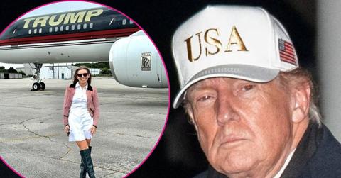 Composite photo of Chamberlain Harris and Donald Trump.