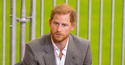 prince harry spare book hidden meaning