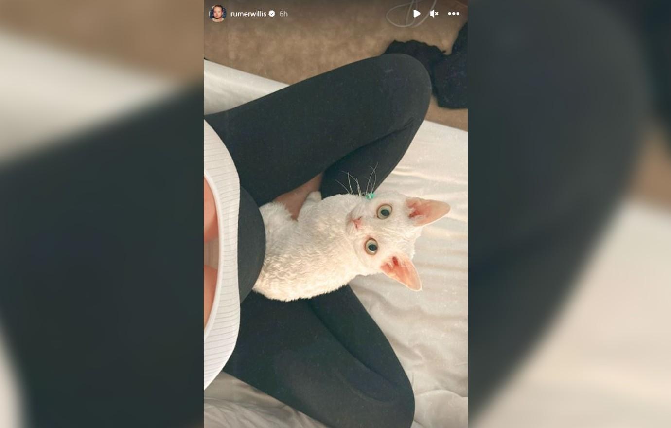 Pregnant Rumer Willis Flaunts Growing Baby Bump