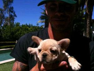 2011__05__david beckham.jpg