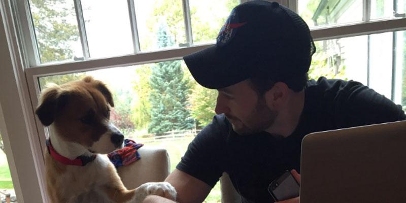 chris evans moment he met rescue dog video pp