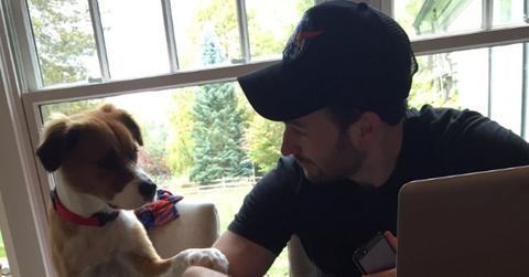 chris evans moment he met rescue dog video pp