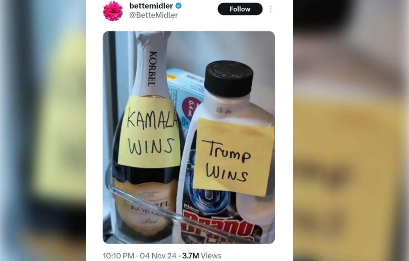 bette midler deletes x account joking drinking drano donald trump wins pp