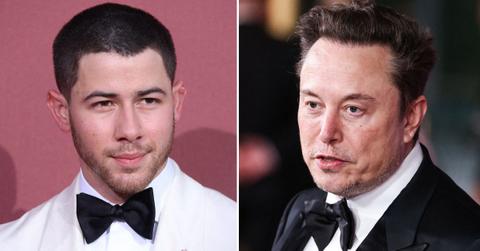 Composite photo of Nick Jonas and Elon Musk.