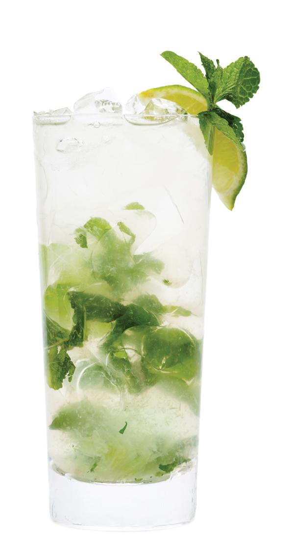 Skinnygirl Mojito