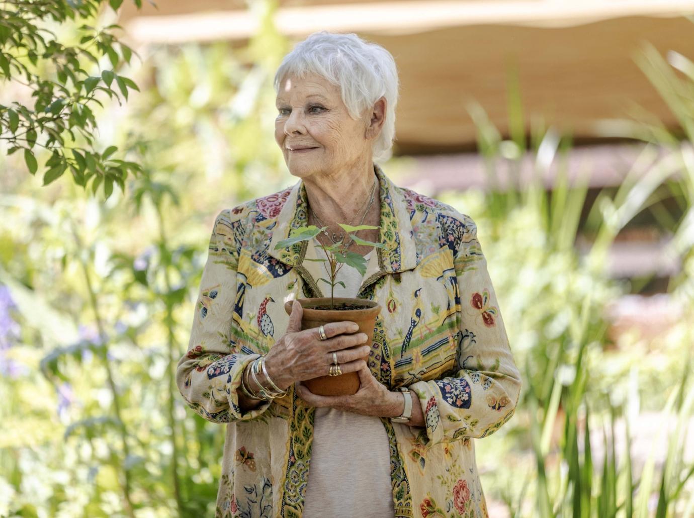 judi dench pet parrot nickname promiscuous actress funny