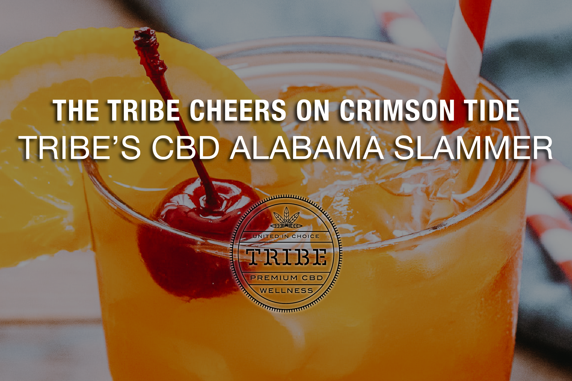 The Tribe Cheers On Crimson Tide – Tribe’s CBD Alabama Slammer  