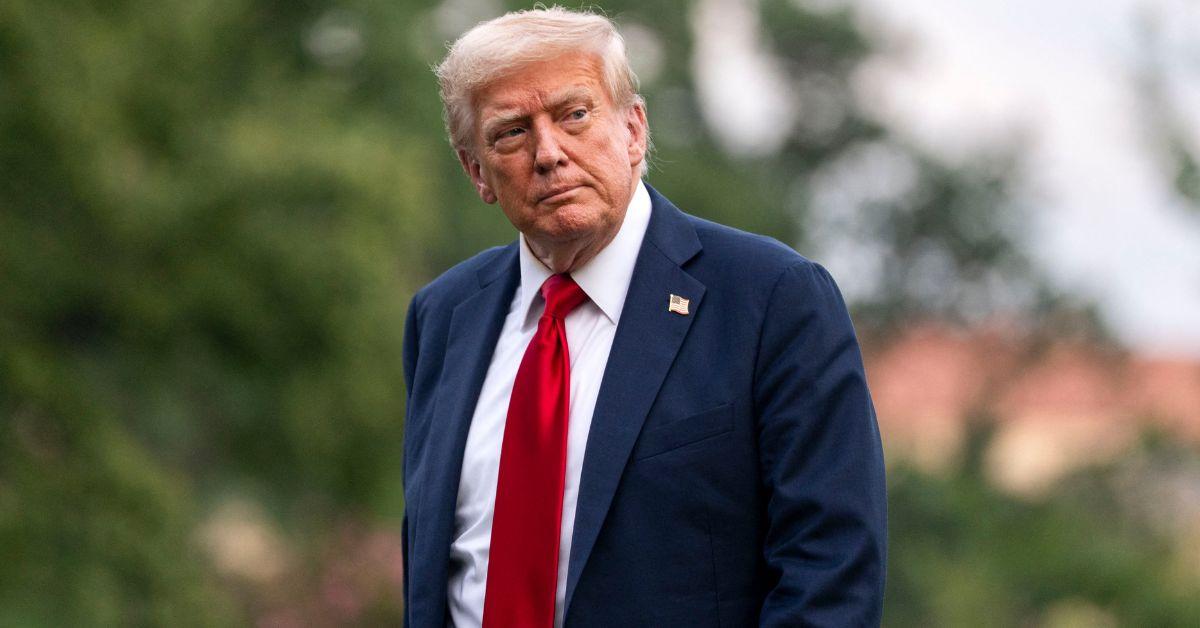 image of Donald Trump said Democrats 'created the Epstein files.'