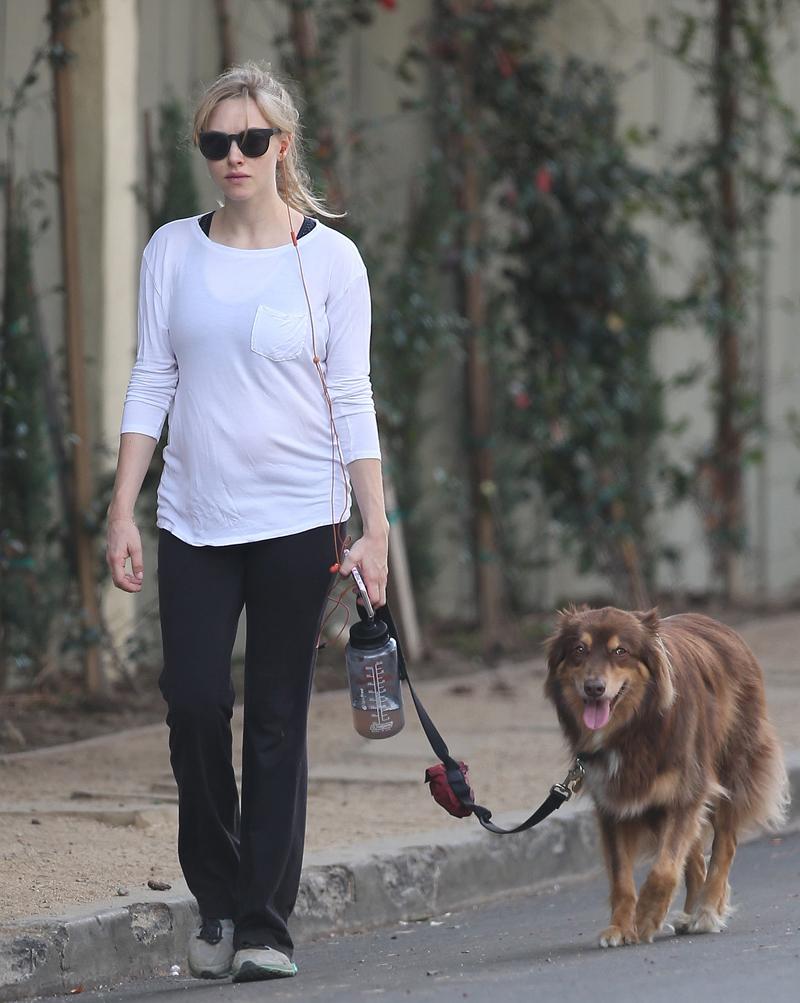 Exclusive&#8230; Pregnant Amanda Seyfried Shows Off Her Baby Bump While Taking Her Dog For A Walk