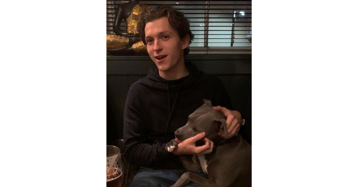 tom holland