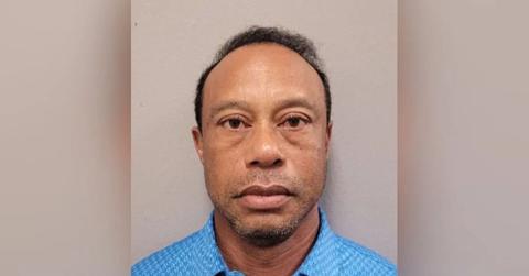 Photo of Tiger Woods' mugshot