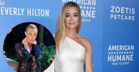 Split photo of Denise Richards