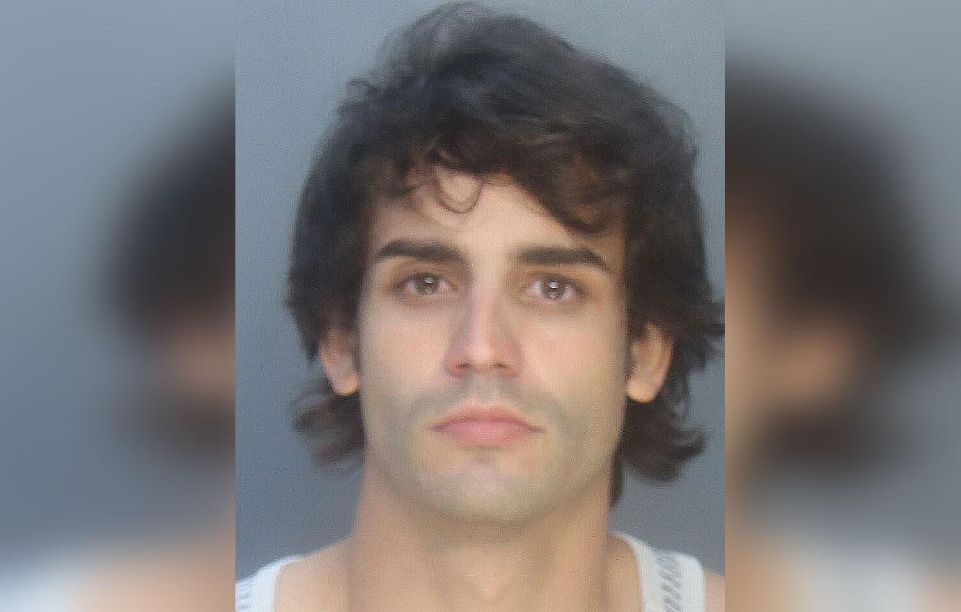 alexia echevarrias son peter rosello arrested domestic violence report