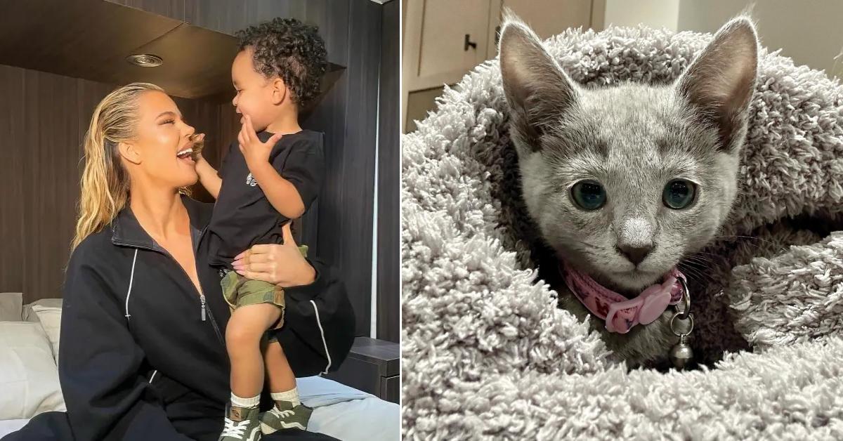 Khloe Kardashian's Son Tatum Plays With New Kitten In Adorable Video