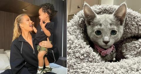 khloe kardashian son tatum plays cat video watch