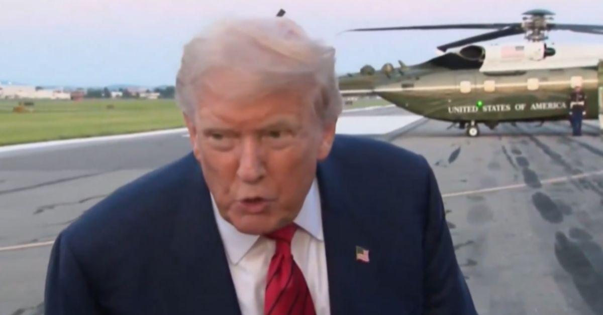 donald trump gushed over sweeney