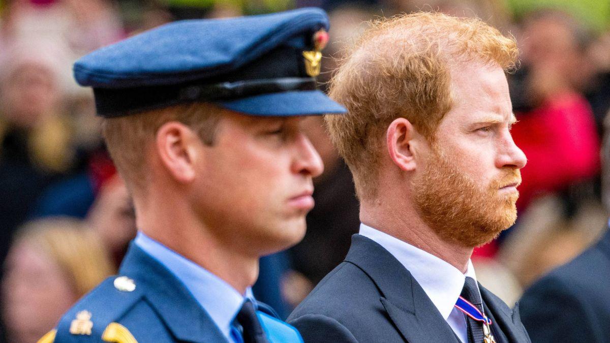 image of William and harry