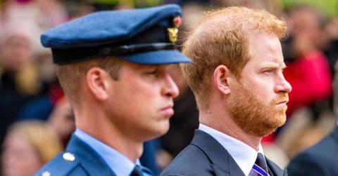 image of William and harry