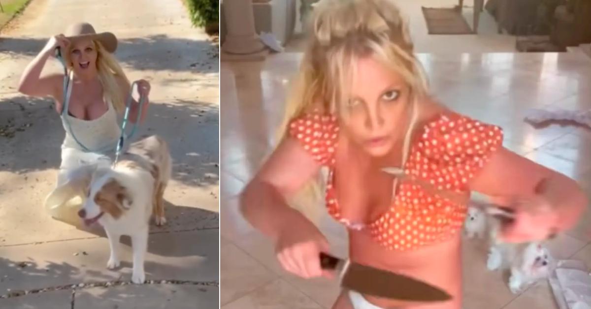 britney spears dogs knife video dangerous fans worried