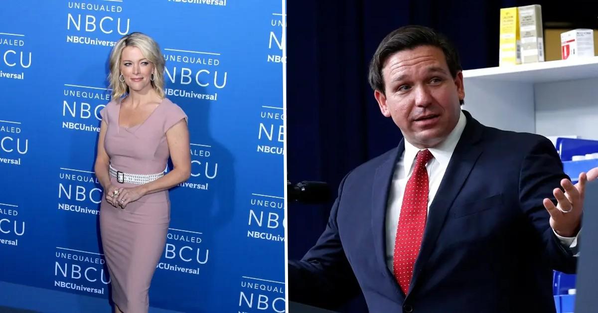 megyn kelly ron desantis pp