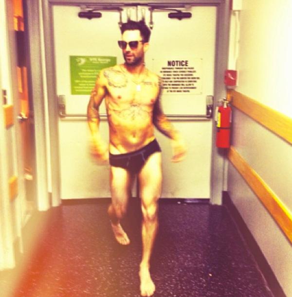 Adam levine in underwear behati prinsloo