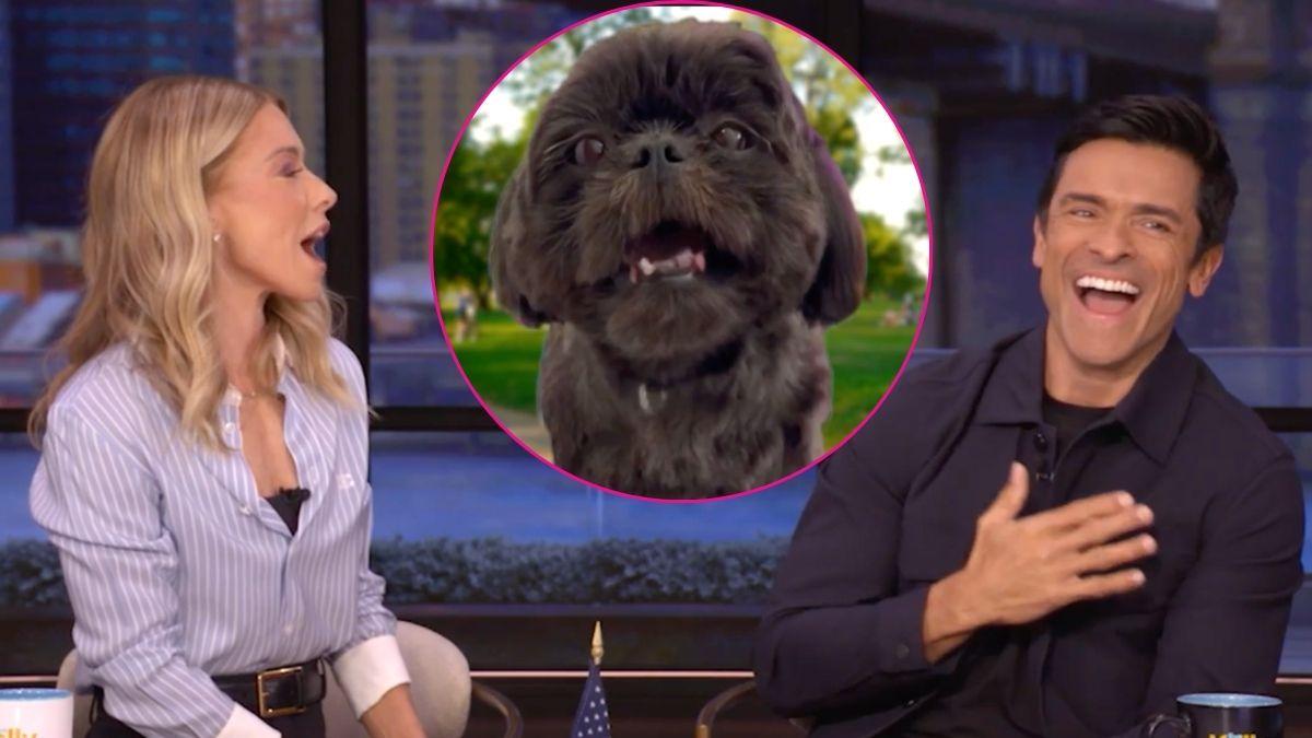 Composite photo of Kelly Ripa, Mark Consuelos and their dog Lena.