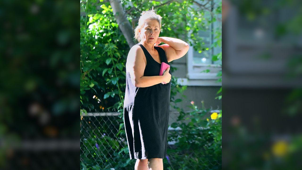 image of Roseanne Barr fired off a string of proane insults at her TV son.