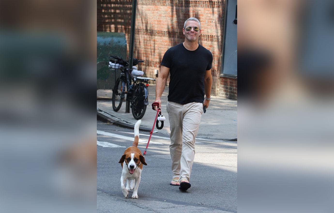 Andy Cohen is all smiles walking his dog in NYC