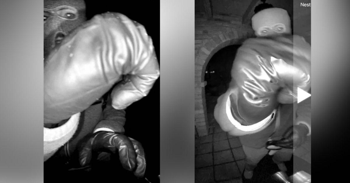 image of A person was detained during a traffic stop in Arizona.