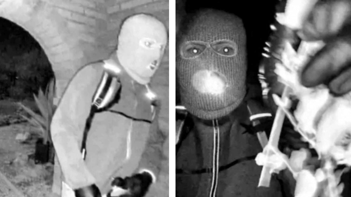 Image of A masked suspect was captured on Nancy Guthrie's doorbell camera footage.
