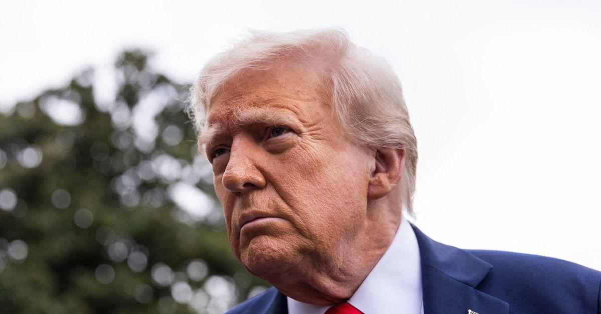 image of Donald Trump spoke about Mark Sanchez’s arrest and stabbing in an interview.