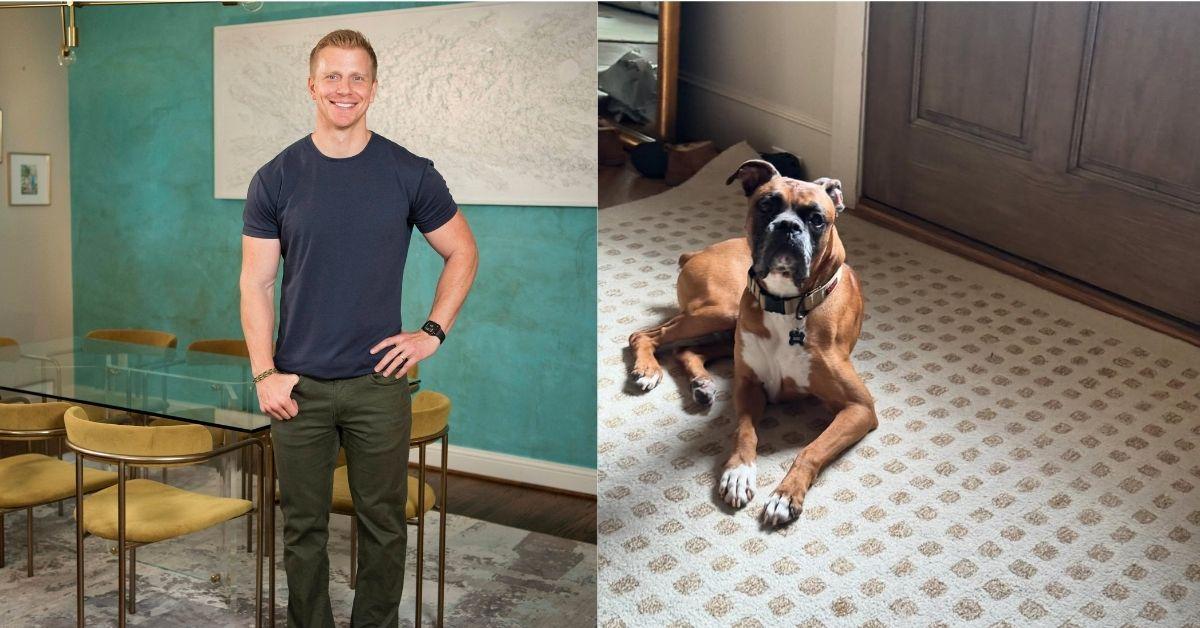 Composite Photo of 'The Bachelor' alum Sean Lowe and dog Moose