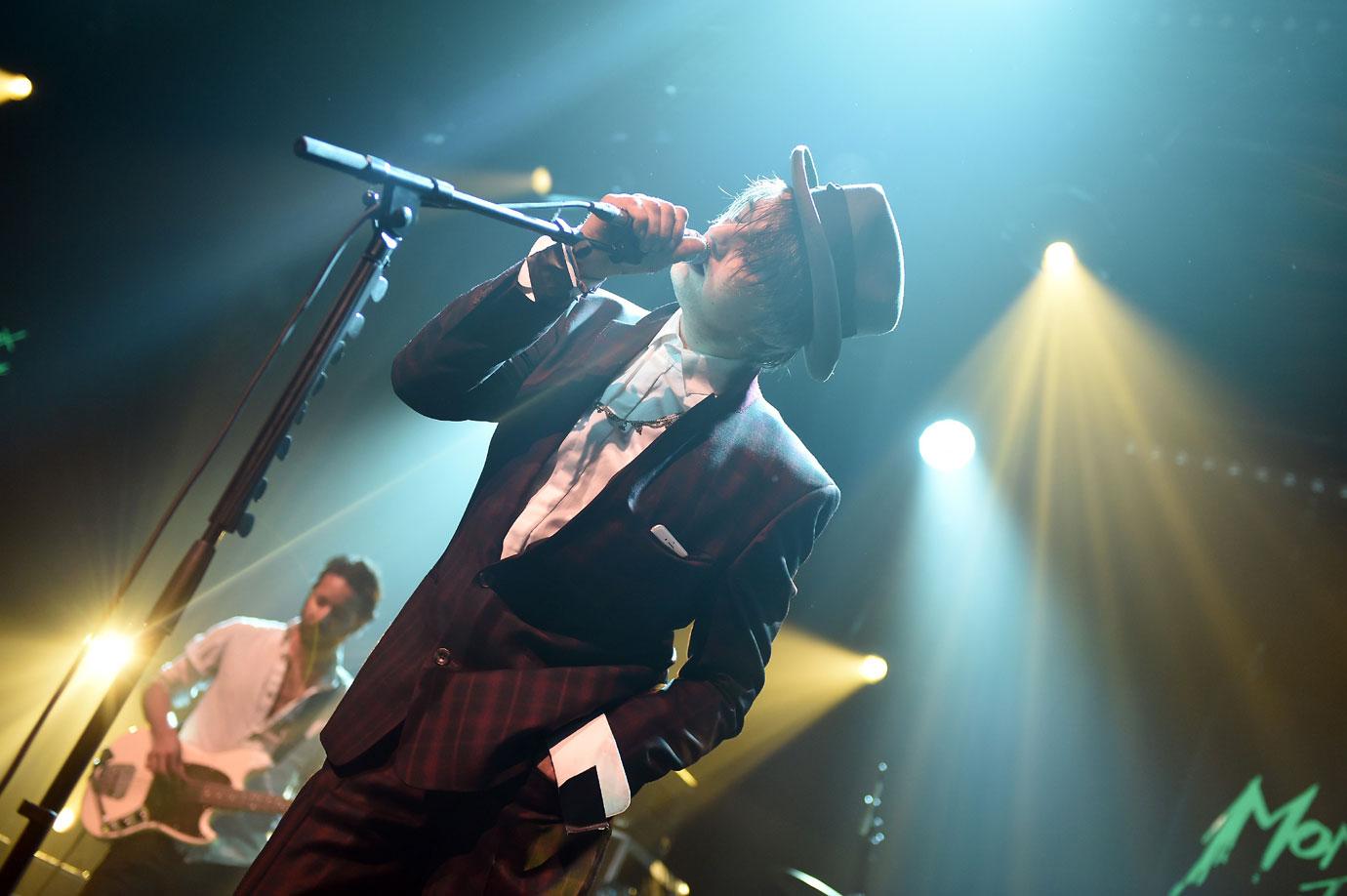 pete doherty hospitalized hedgehog