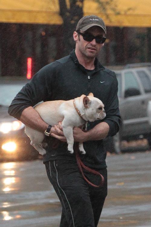 Hugh jackman nov30 1_0_ _2.jpg