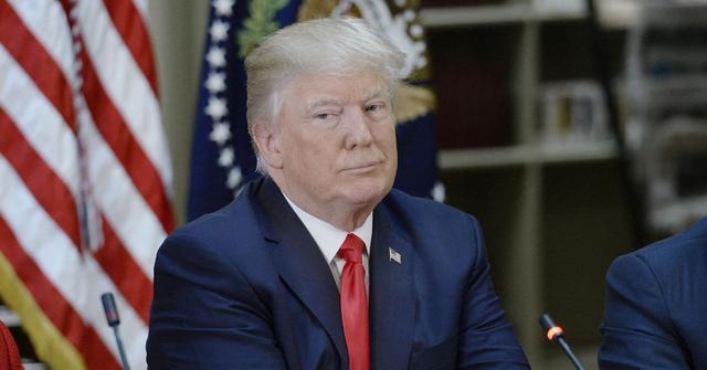 mary trump demands donald trump incarcerated