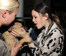 2010__03__38F487B320638F35D17008 224×189.jpg