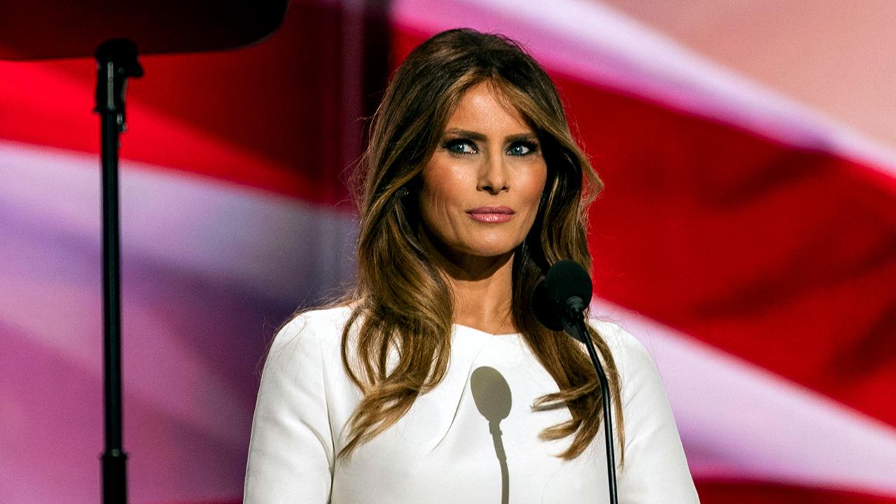 Image of 'She doesn't do anything as the first lady,' Michael Wolff snubbed.