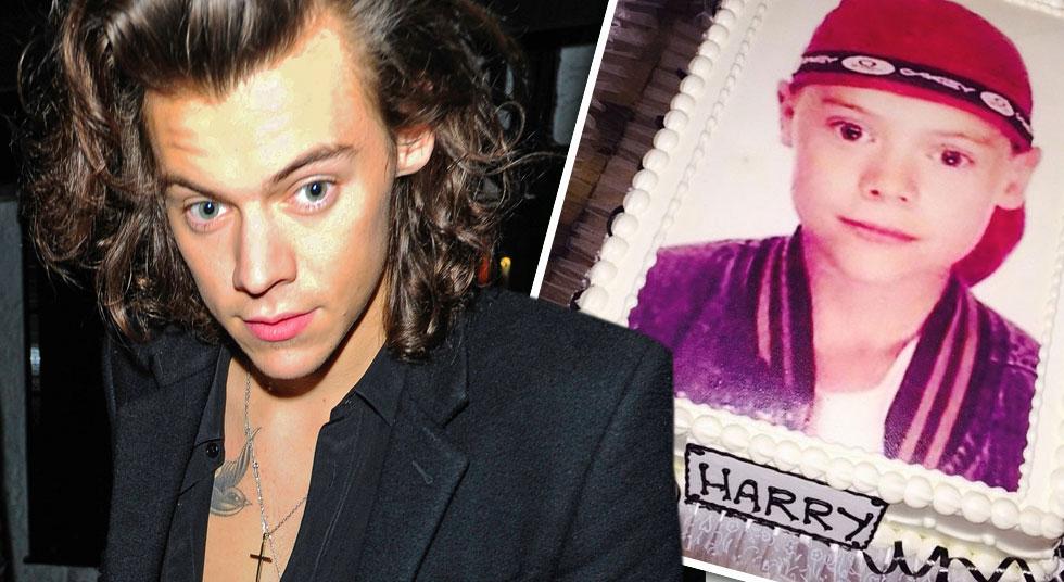harry styles 26 birthday party