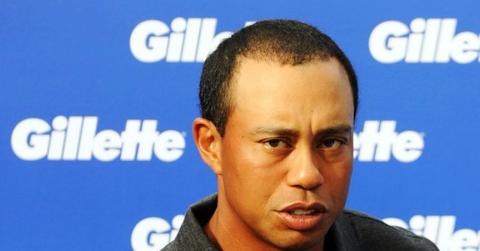 2009__12__fp_3996909_icon_tiger_1111091 560×794.jpg