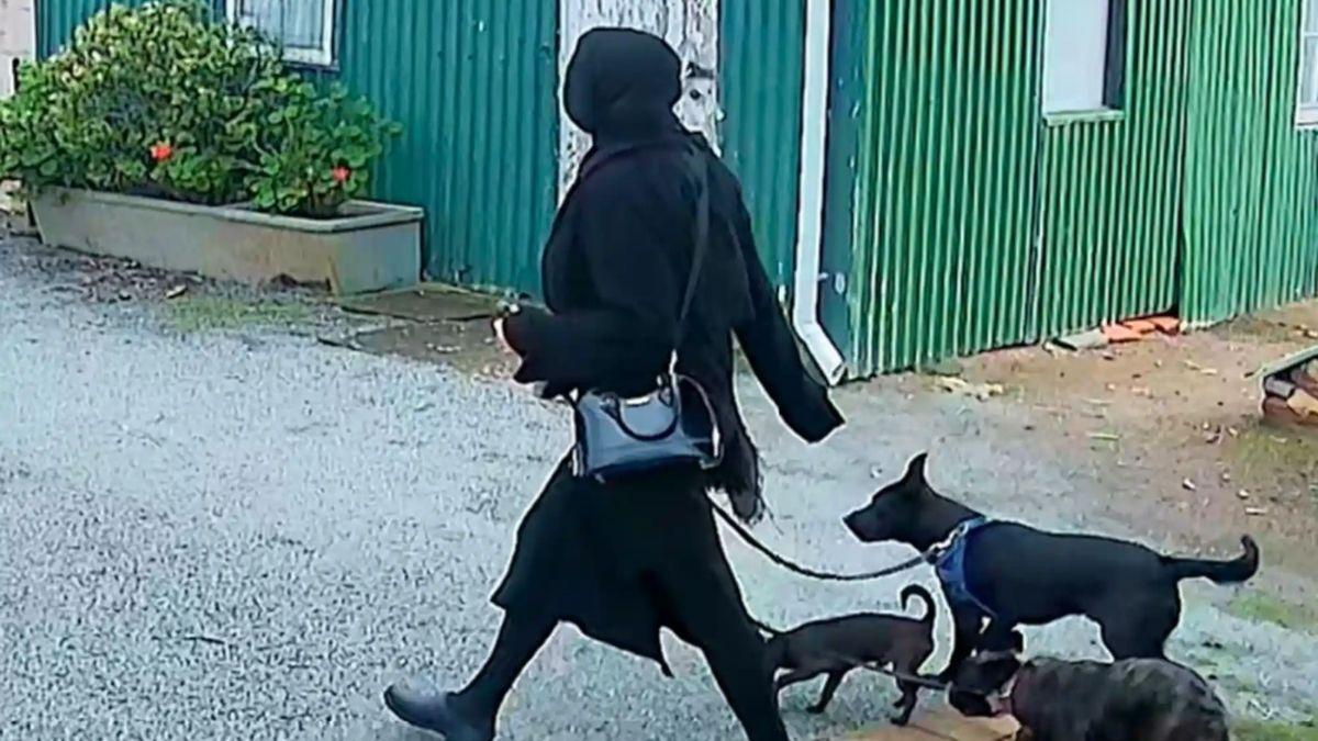image of She was captured on CCTV footage taking her dogs for a walk.