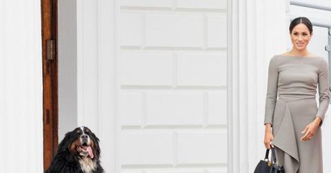 meghan markle archetypes returning after spotify fail