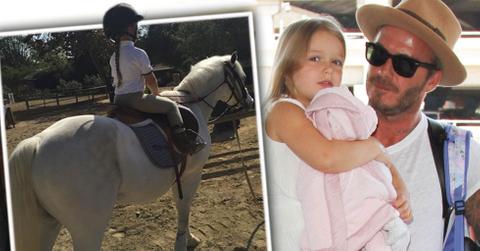 Harper beckham horse back riding lesson