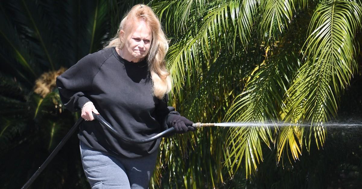 Joey Heatherton Looks Unrecognizable As She's Spotted In L.A.